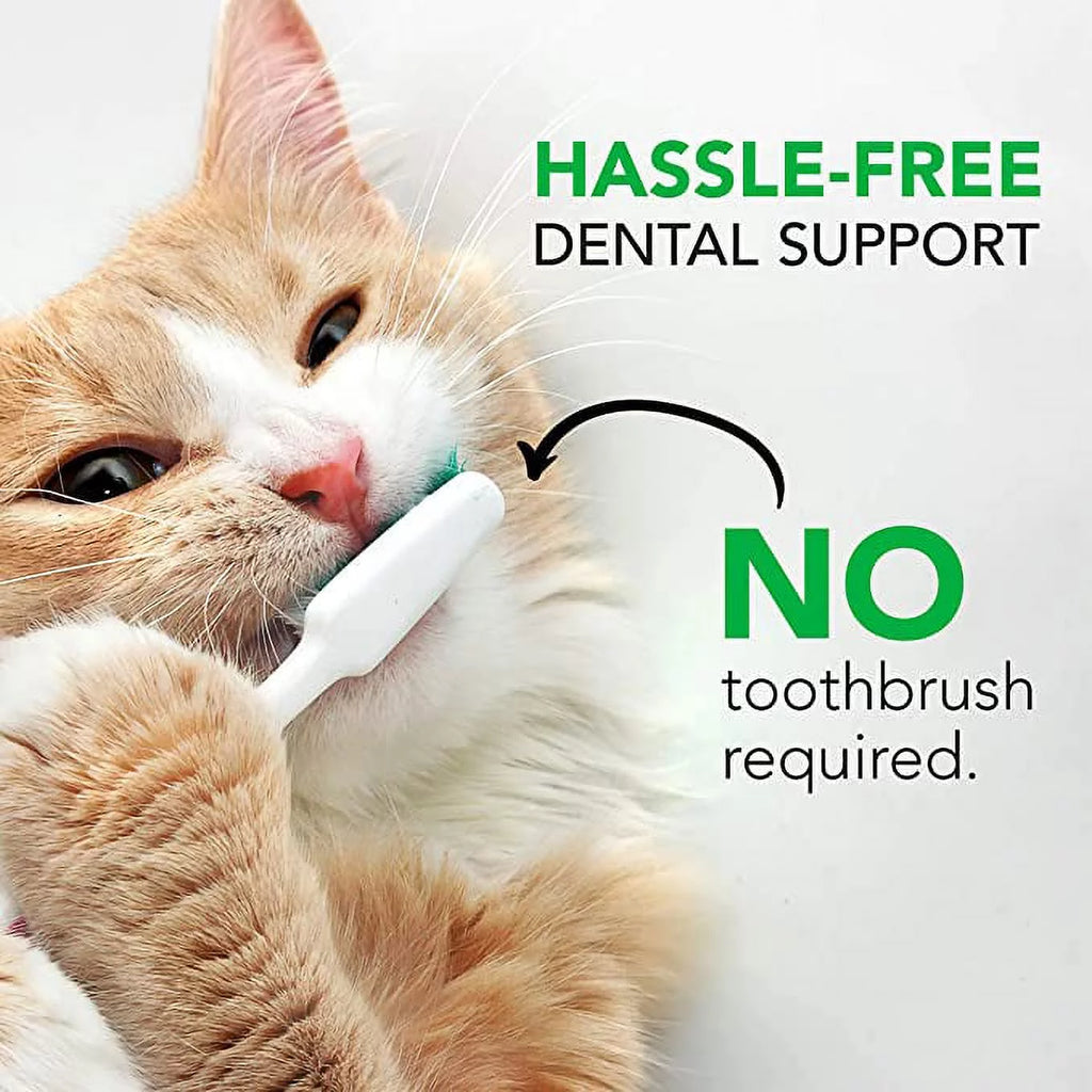 Dental Care Powder for Cats and Dogs 4.2 oz P341629