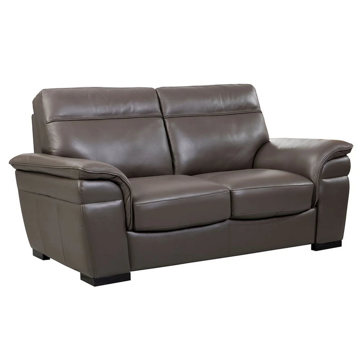 Taupe Italian Leather Loveseat V47690