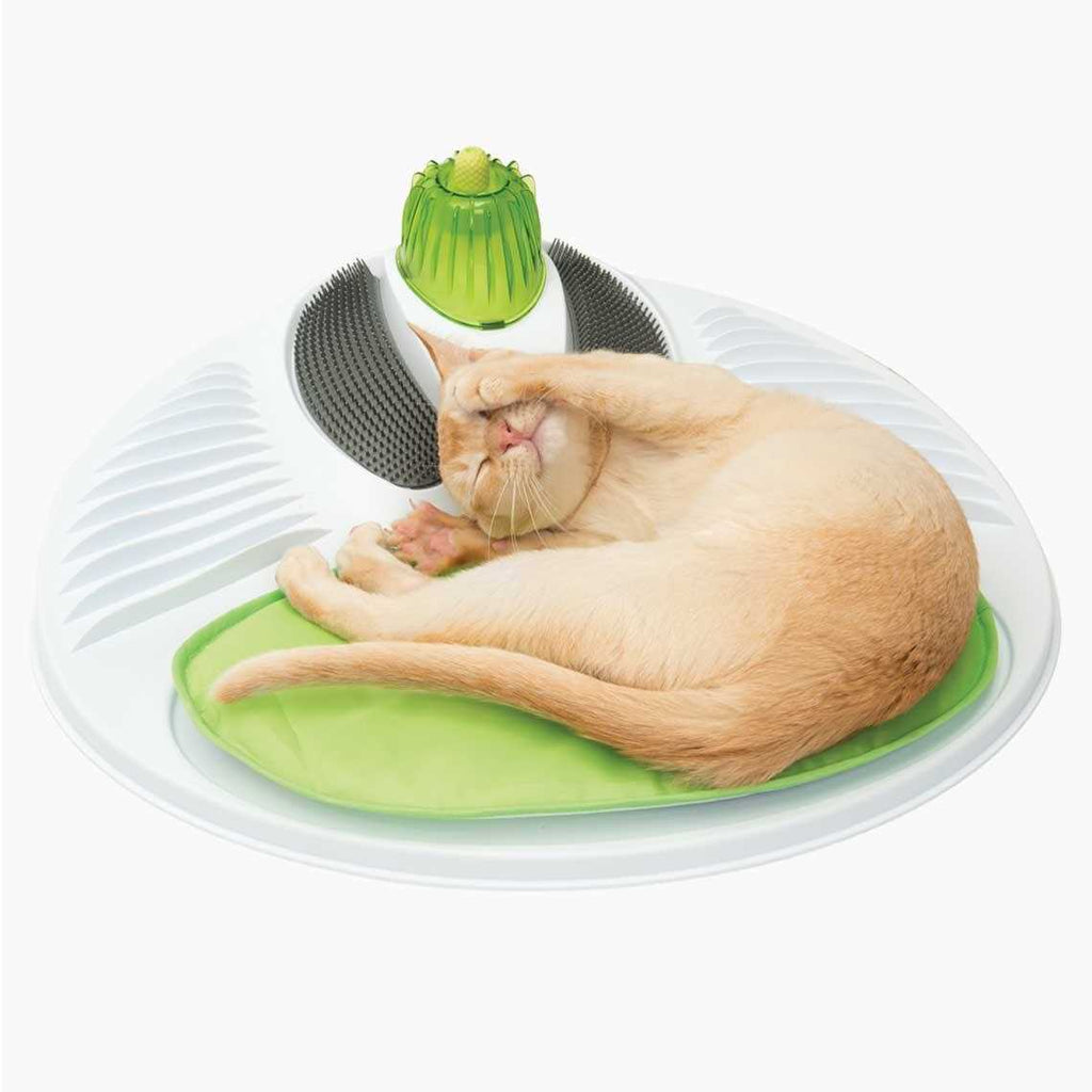 Pet Wellness Center B10316