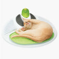Pet Wellness Center B10316