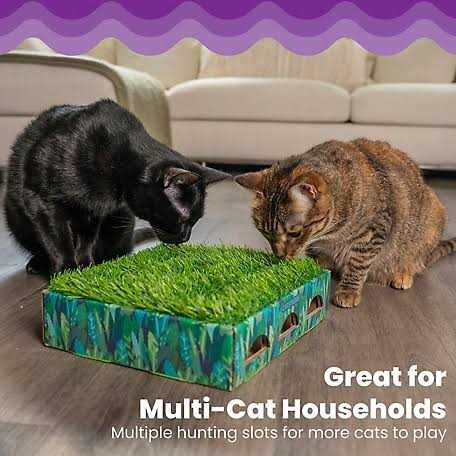 Grass Patch Cat Toy M182