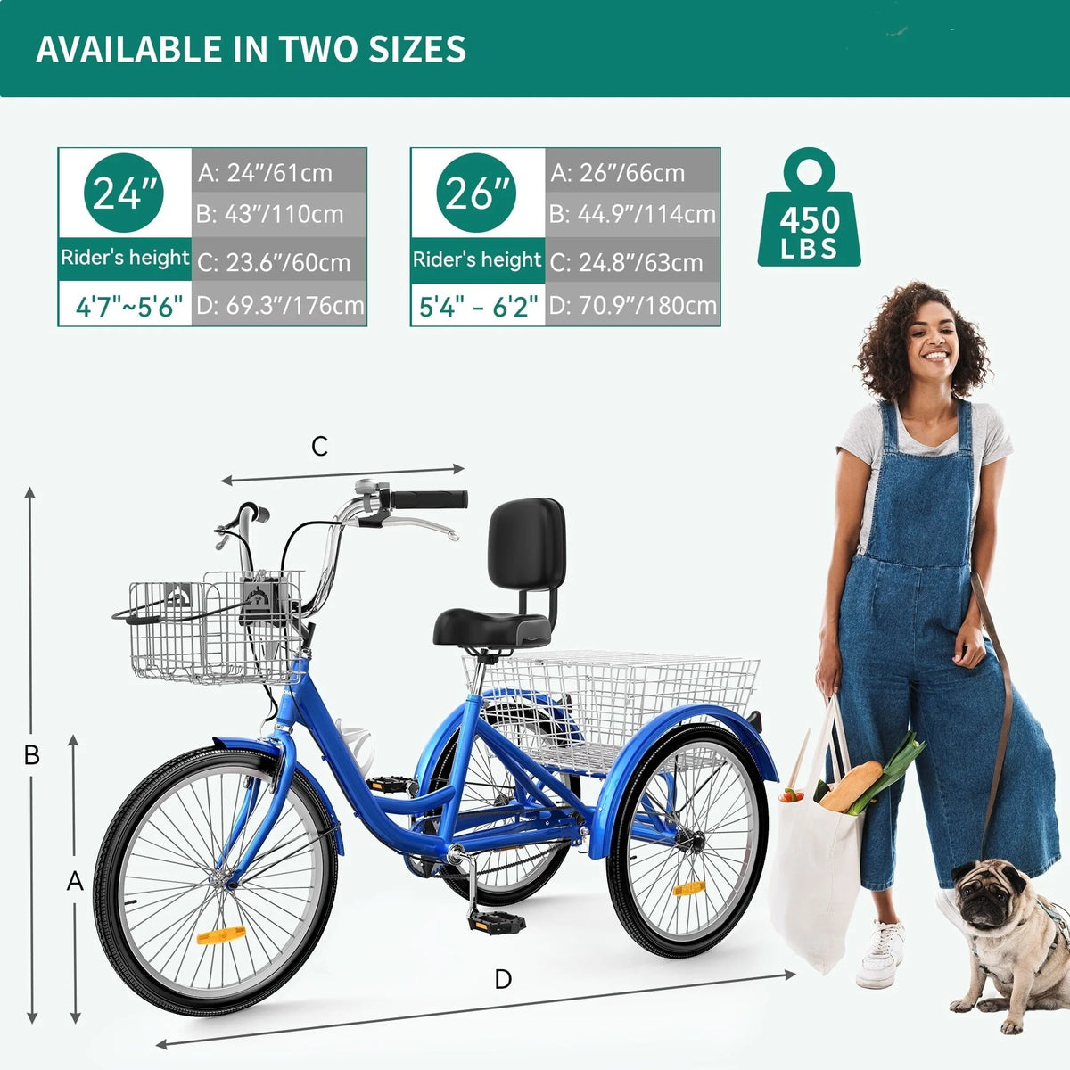 Blue 26 Adult Tricycle 3 Wheel Bike T249
