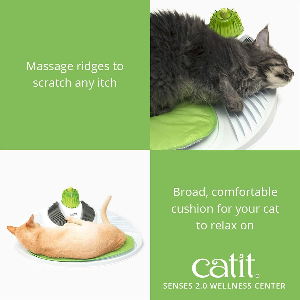 Pet Wellness Center B10316