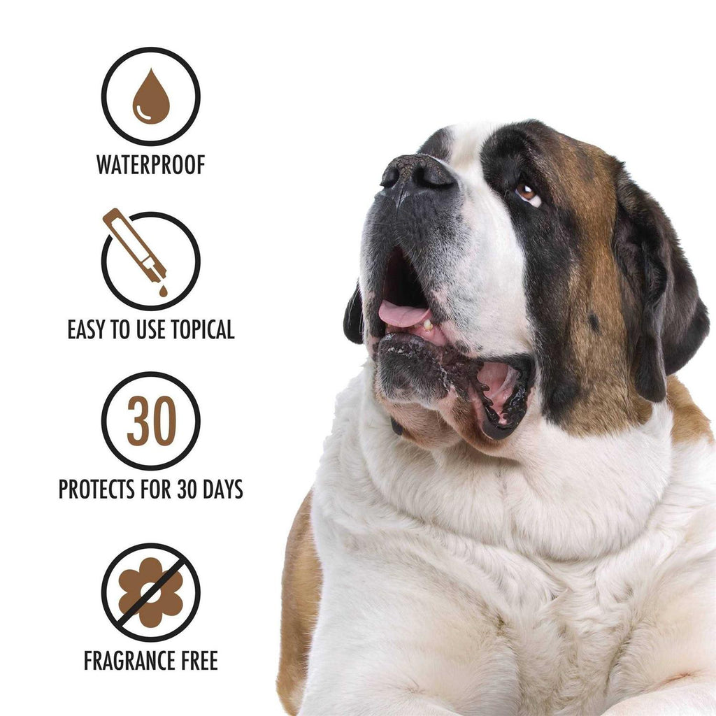 Topical Treatment for Dogs C463601