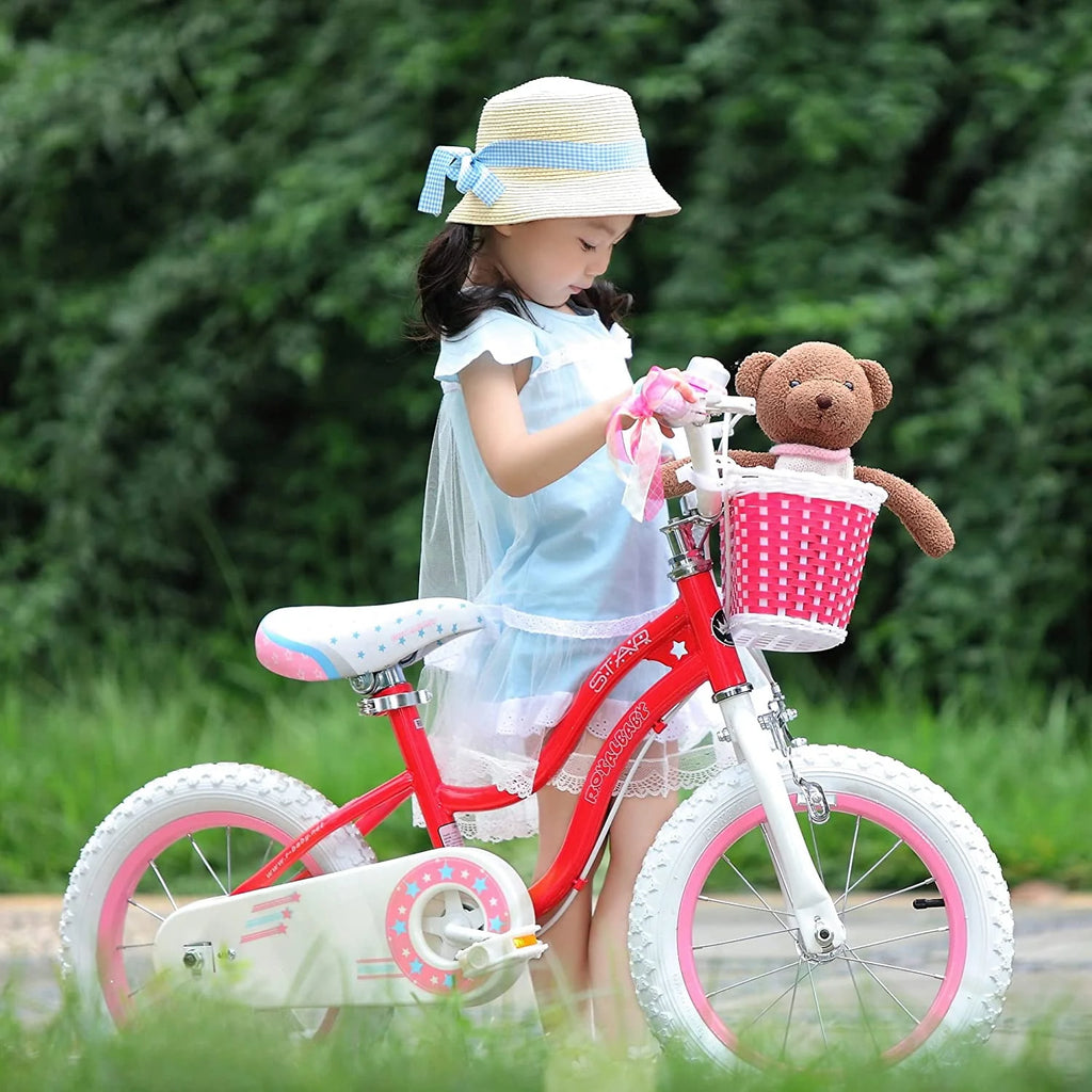 20 Inch Kids Bike with Kickstand Basket Pink C18434
