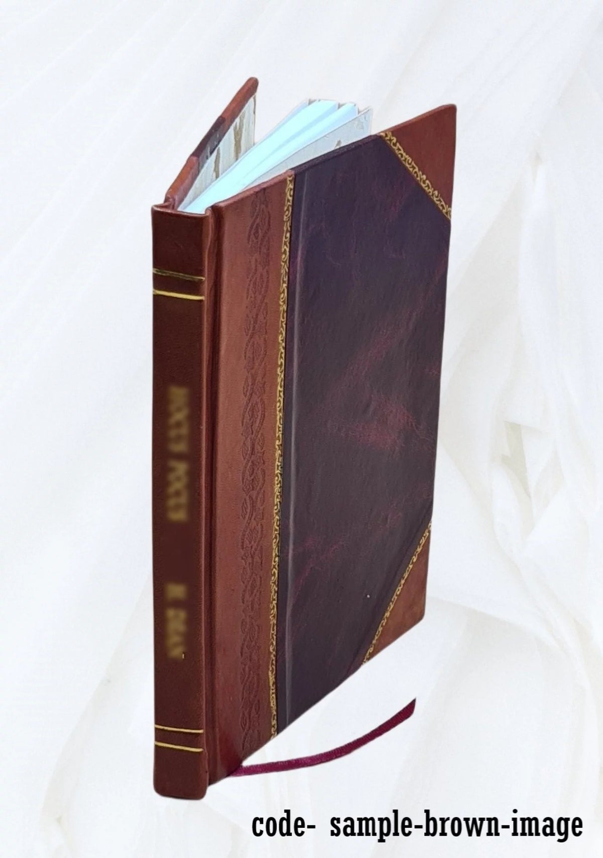 Electrical Society Cornell University 1894 1895 Leather Bound D7157