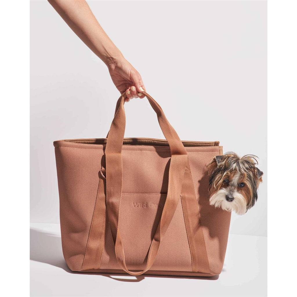 Everyday Carrier E547
