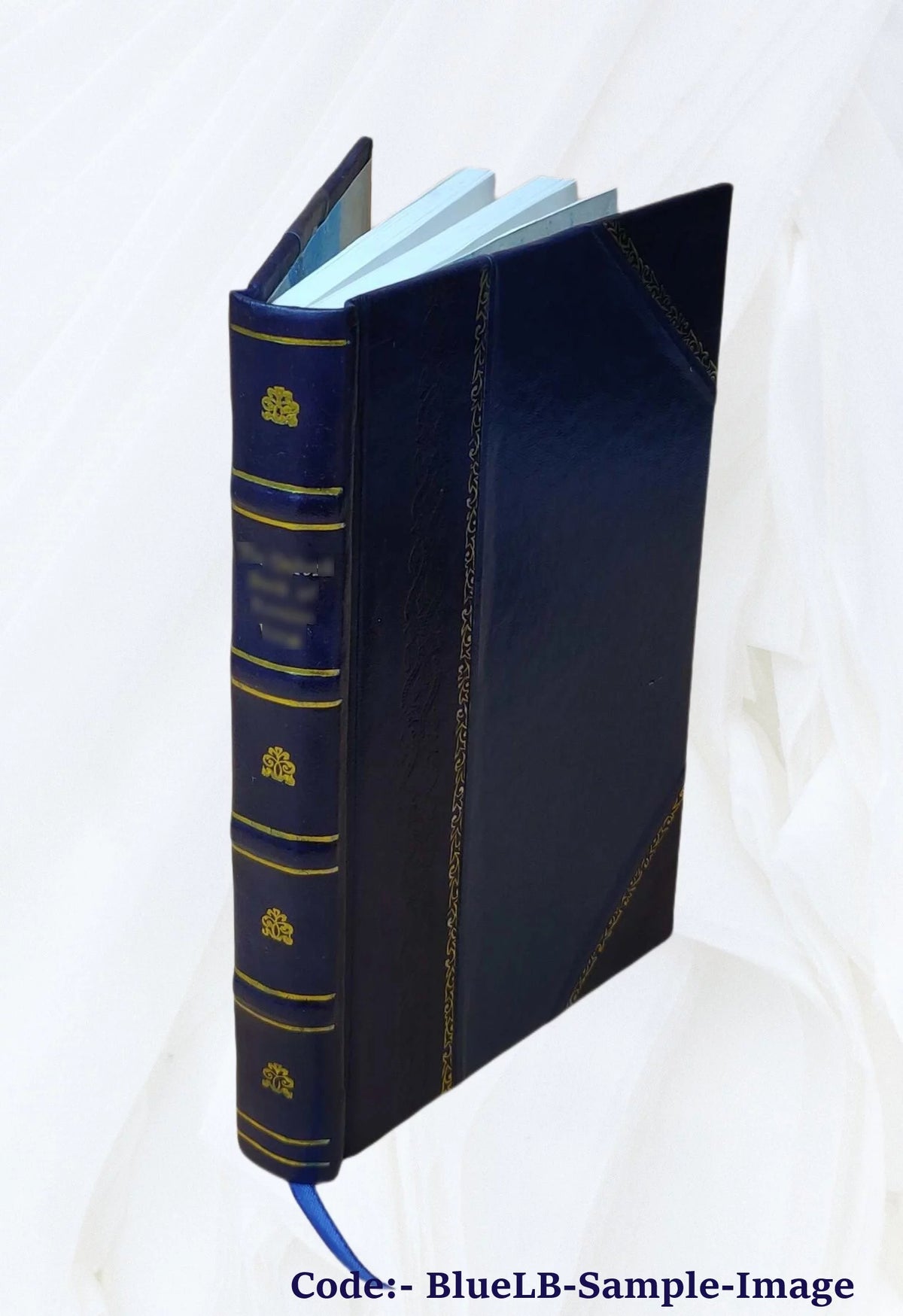 British Popular Customs Present and Past Leather Bound K27311