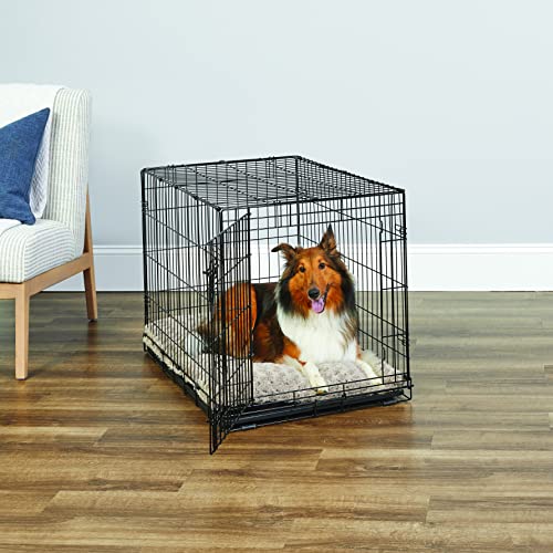 Single Door Dog Crate with Leak-Proof Pan, 42 Inch R318046