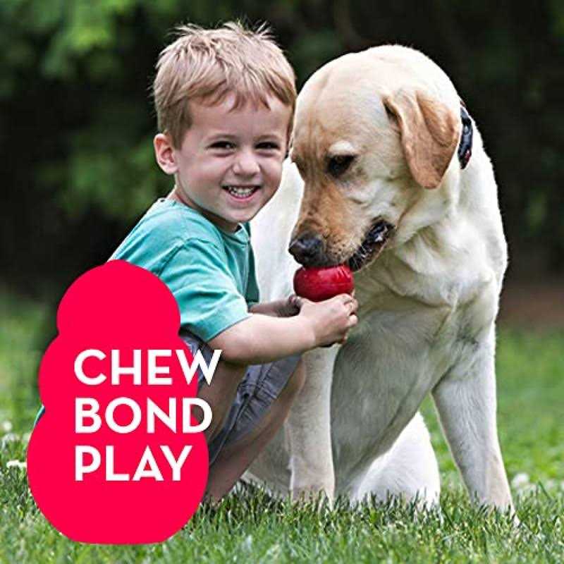 21 Pack Small Dog Chew Toys with Rope Toys K677