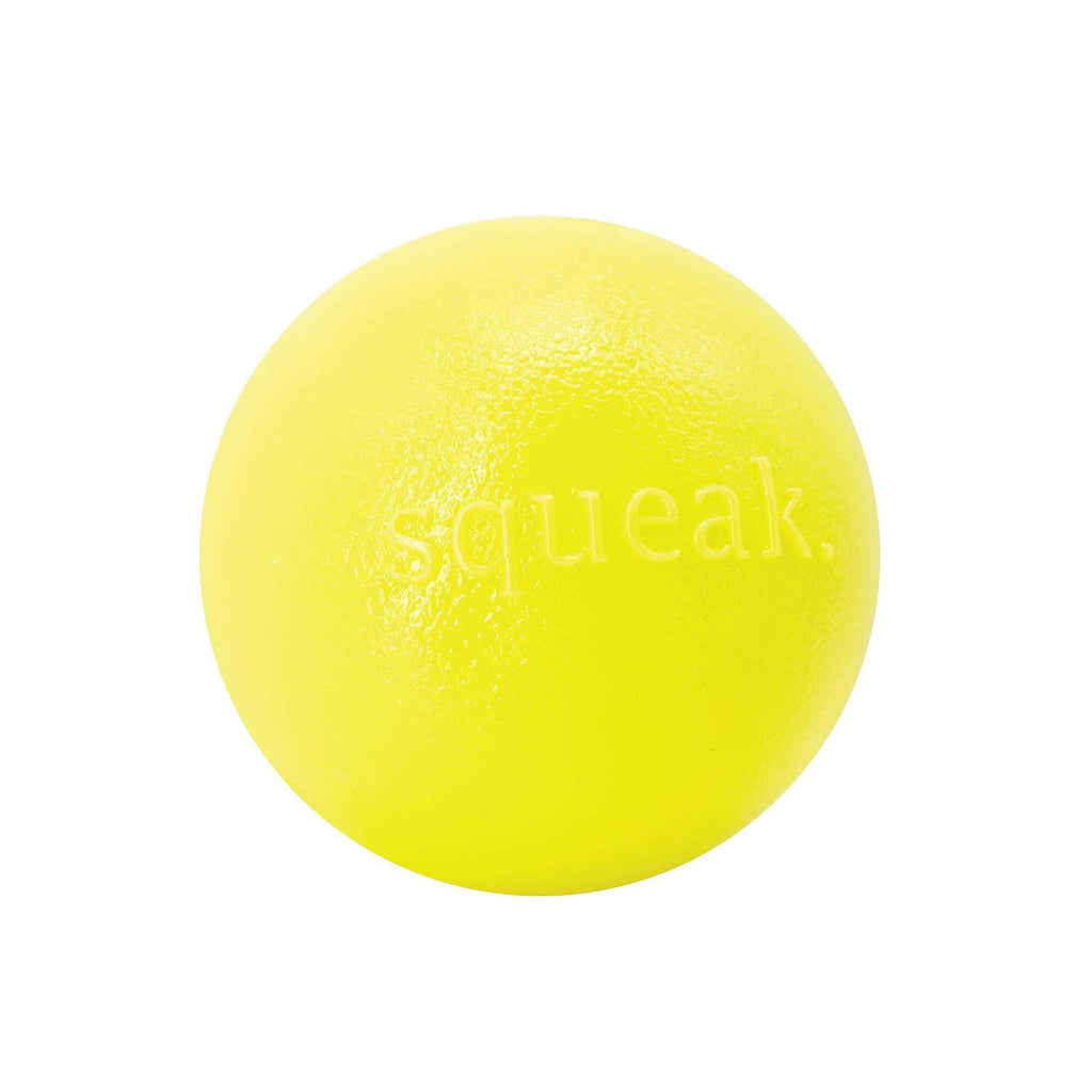 Squeak Toy Ball L6725