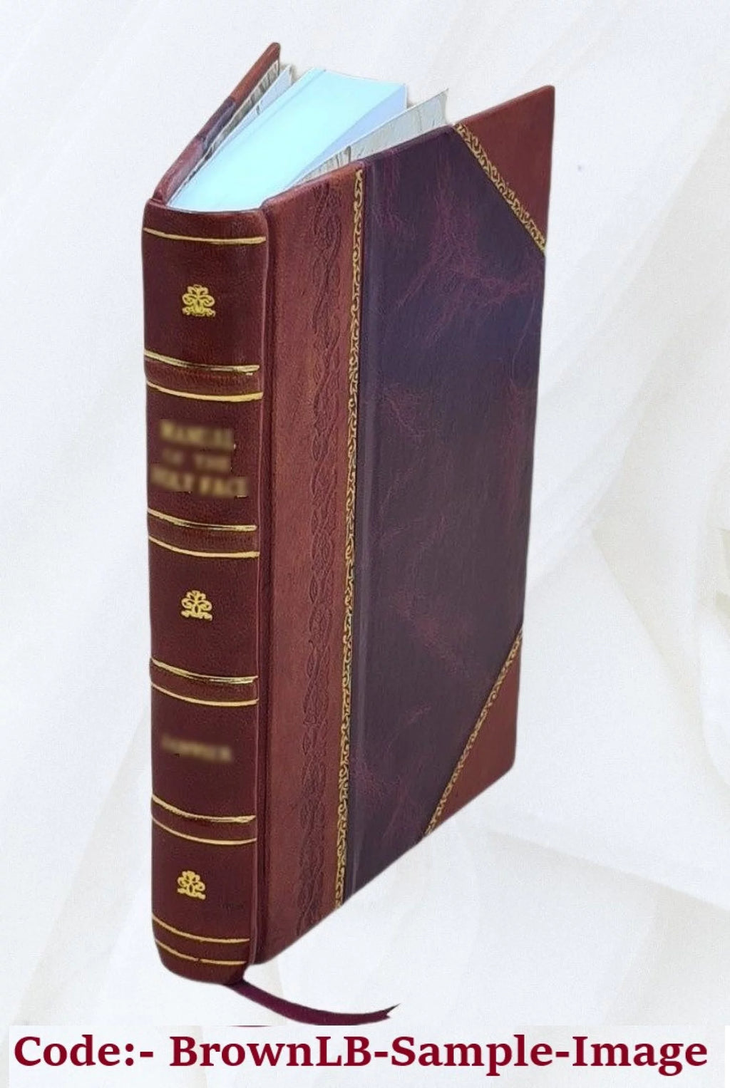 Leather Bound Book J915