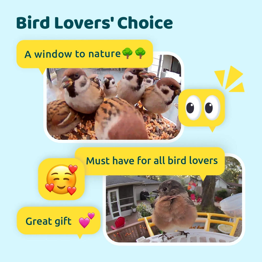 Bird Feeder with Camera, Solar Panel K3052