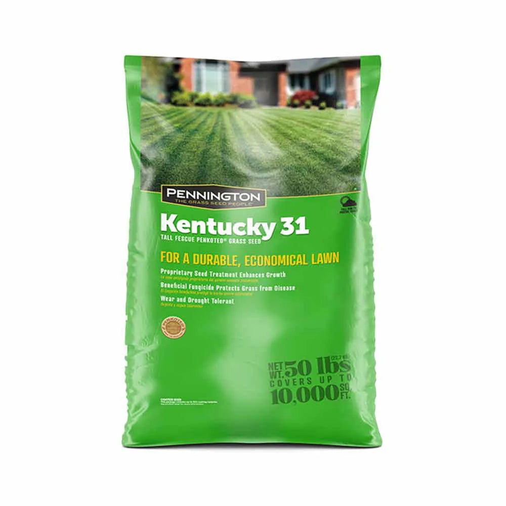 Tall Fescue Grass Seed 50lb O6470