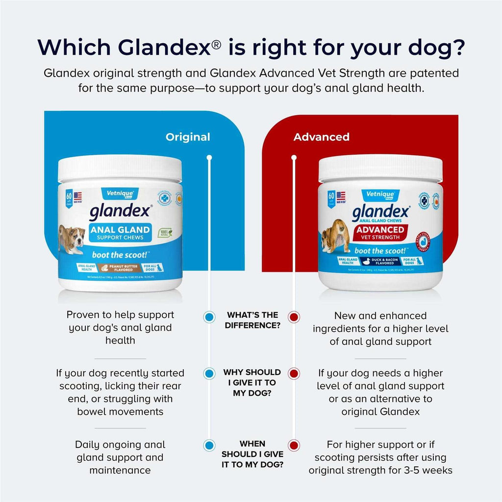 Anal Gland Soft Chews for Dogs J577935