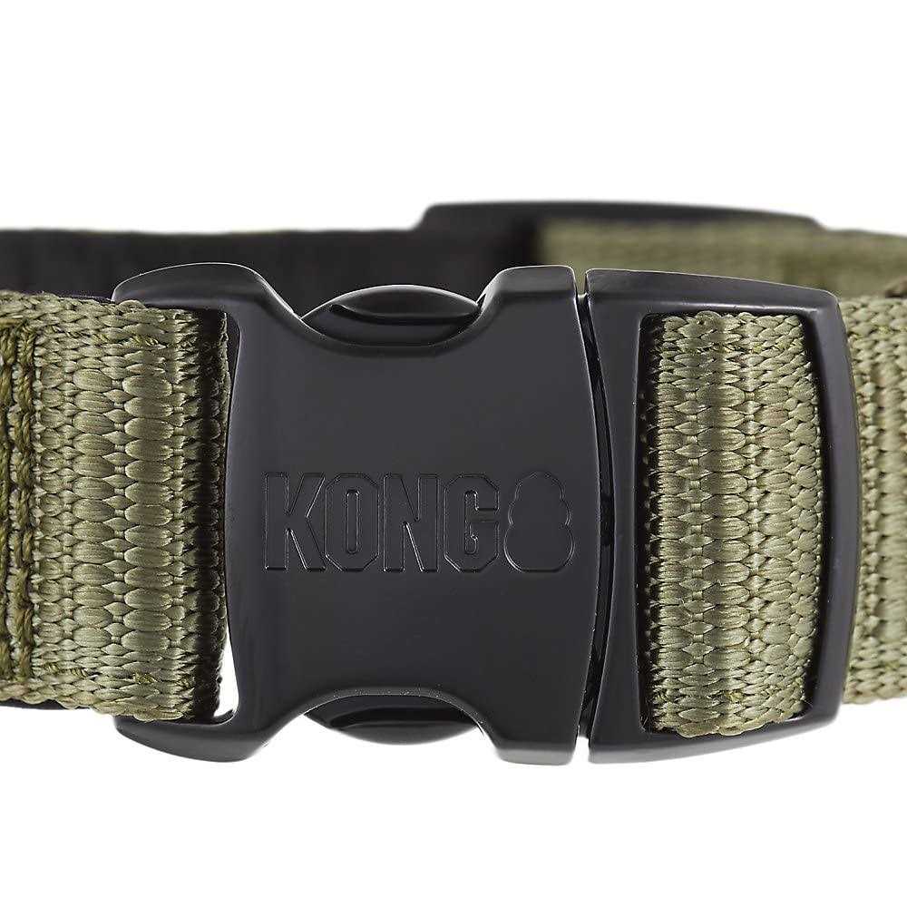 Dog Collar Z978346