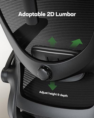 Black Ergonomic Office Chair with Lumbar Support Q41151