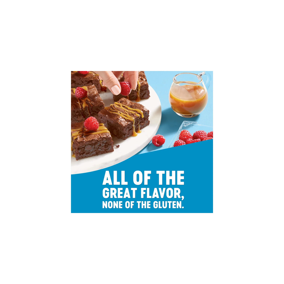 Gluten Free Double Chocolate Brownie Mix 20 Oz A8088