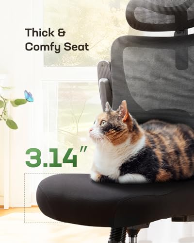Black Ergonomic Office Chair with Lumbar Support Q41151