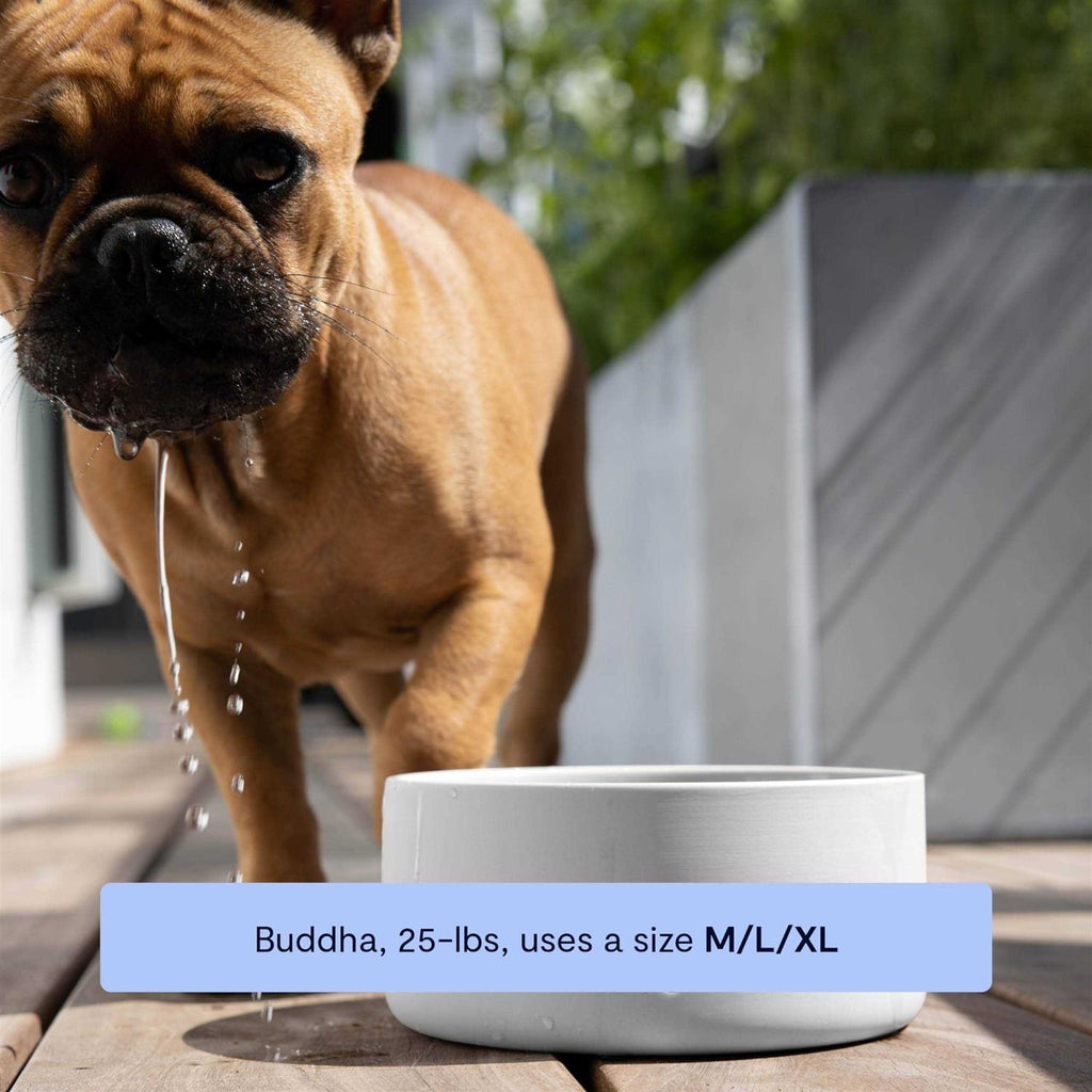 Pet Bowl L4953