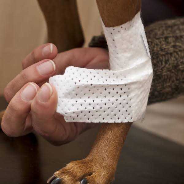 Bandages Joint Pets Z651