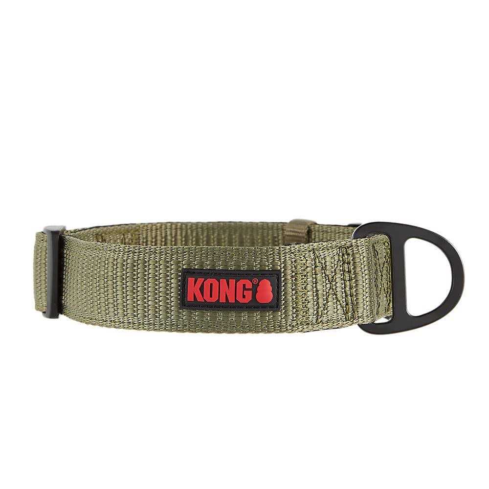 Dog Collar Z978346