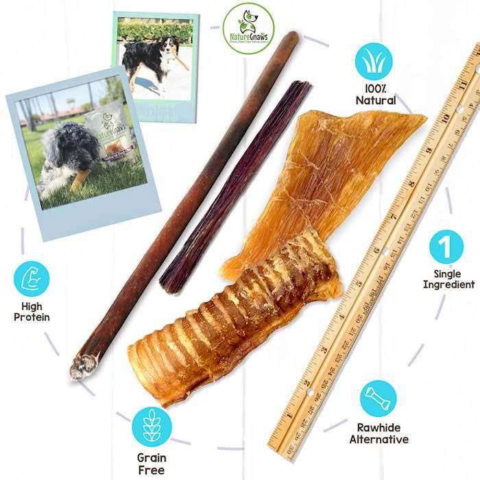 Natural Dog Chews Variety Pack N2365