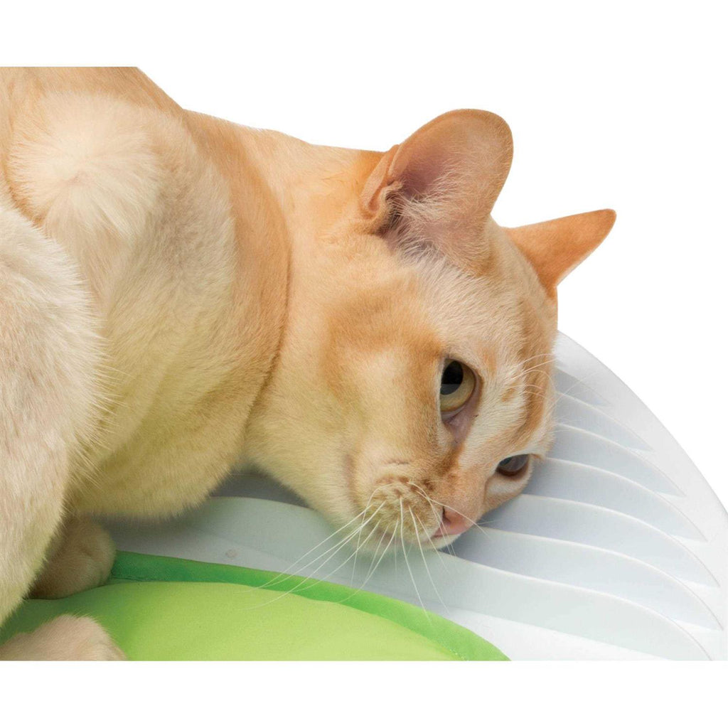 Pet Wellness Center B10316