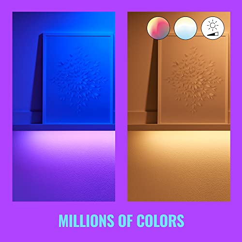 Multicolor LED Light Strip W521721