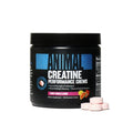 Creatine Monohydrate Chewable Tablets Fruit Punch F706781