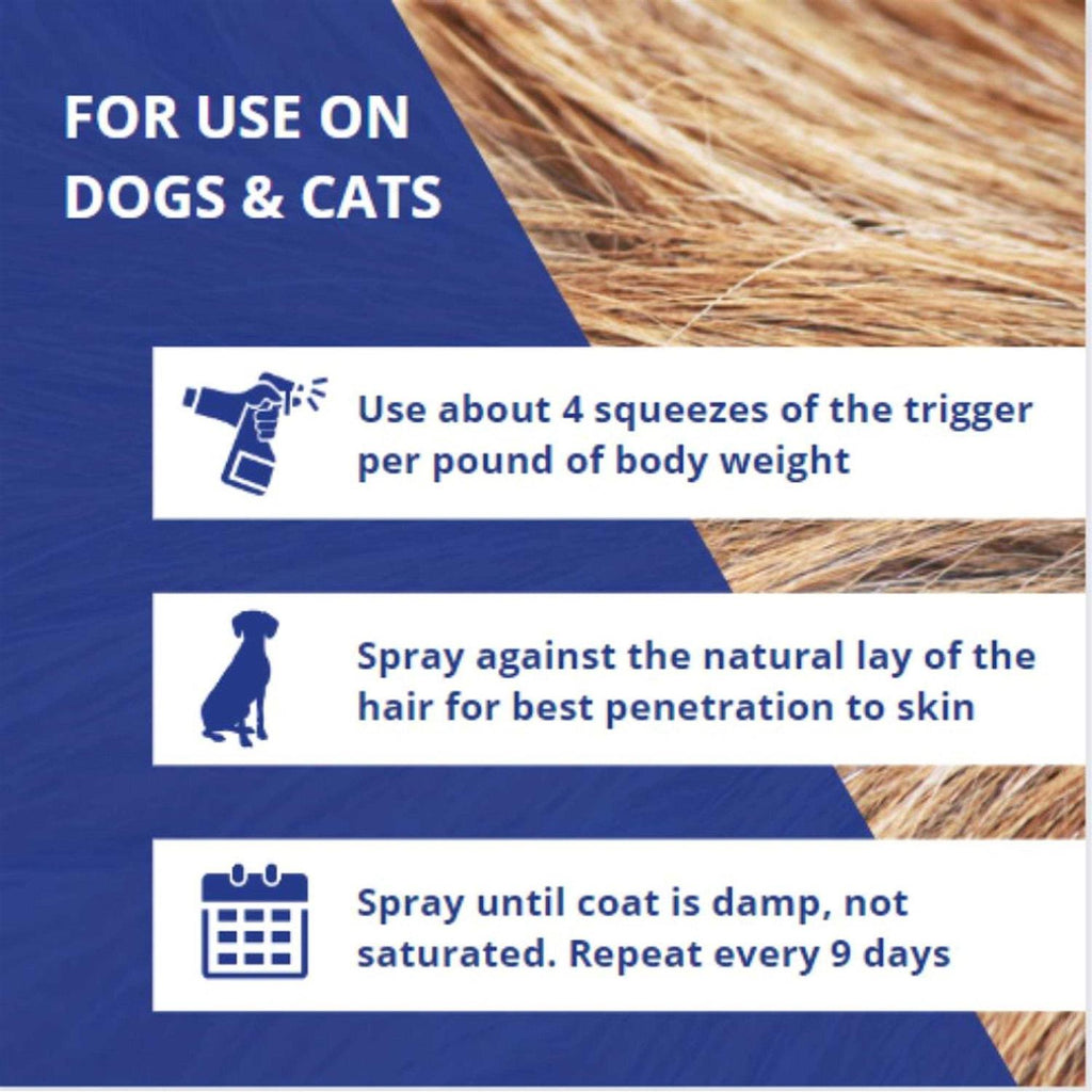 Insect Repellent for Dogs H344850