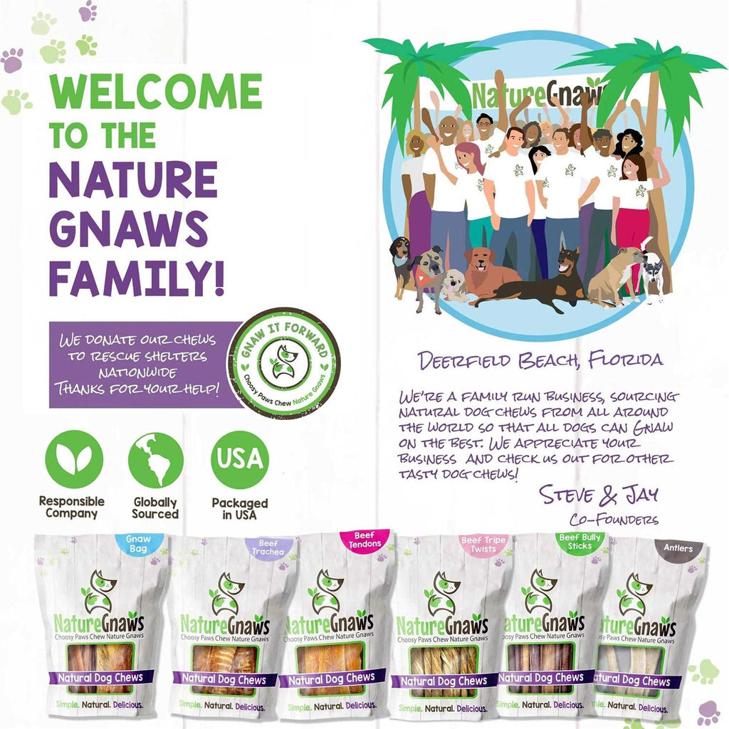 Natural Dog Chews Variety Pack N2365