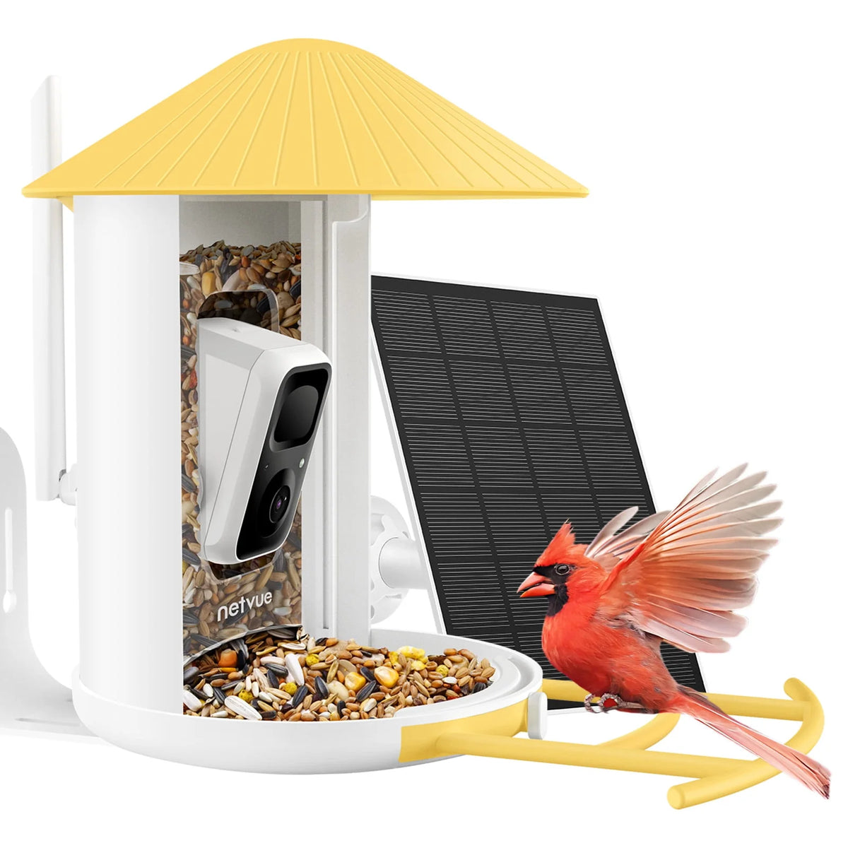 Bird Feeder with Camera, Solar Panel K3052