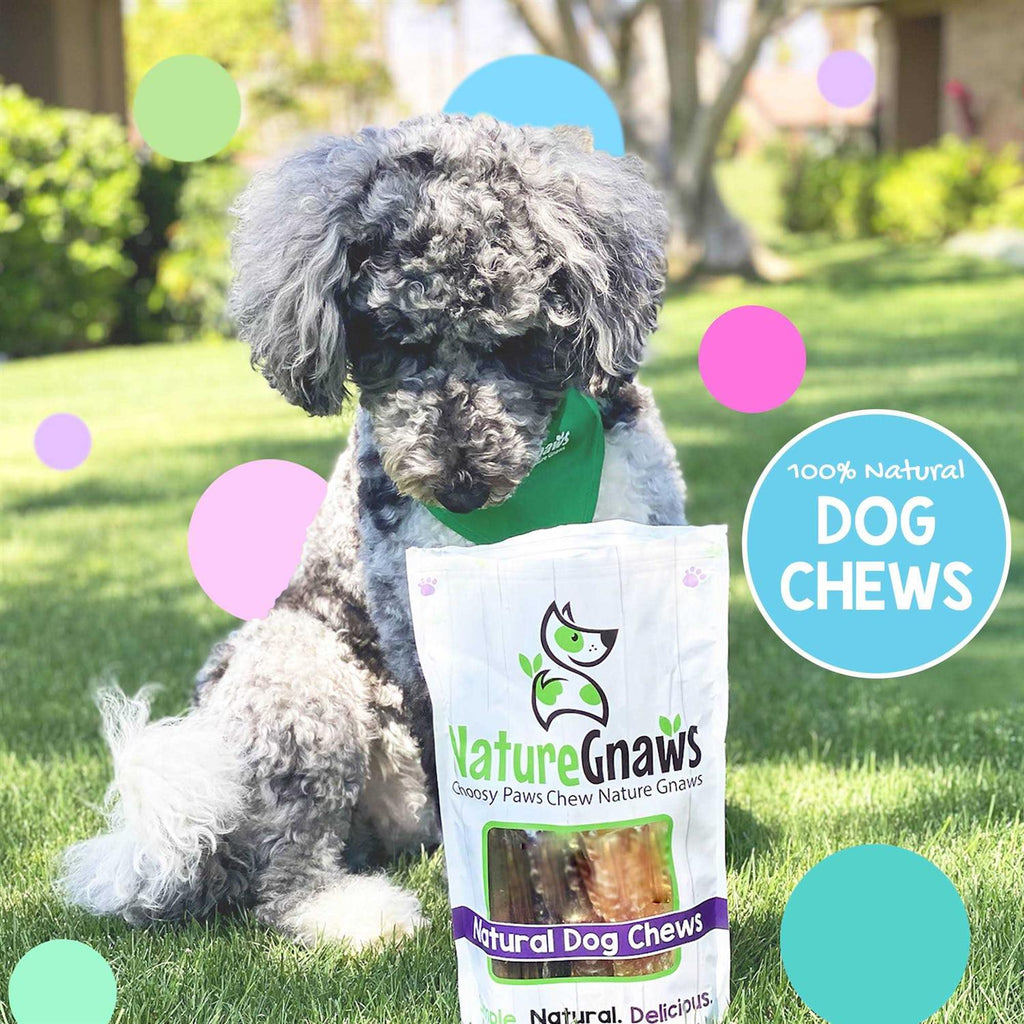Natural Dog Chews Variety Pack N2365