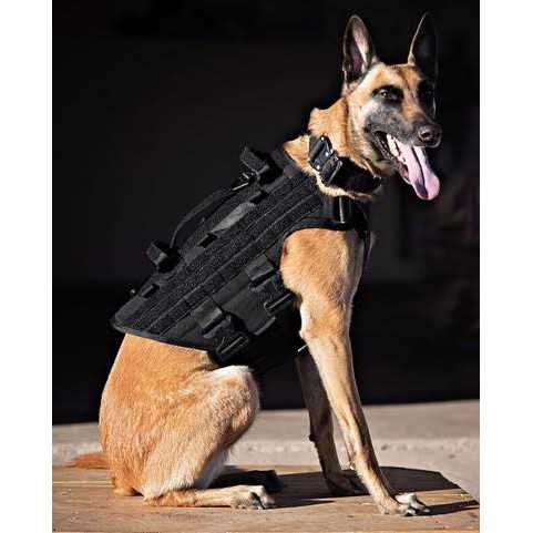Pet Harness C975