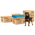 Extra Large Potty Pads for Dogs L21219