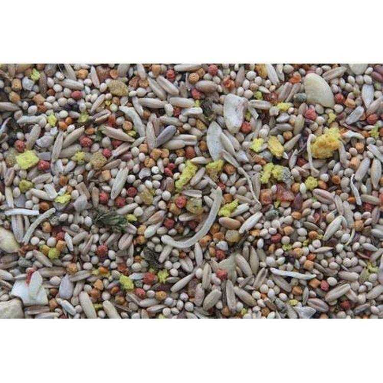 Gourmet Blend Parakeet Food I61669
