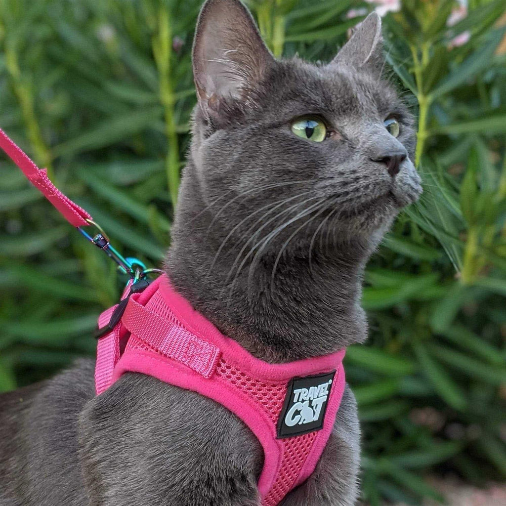 Reflective Cat & Kitten Harness and Leash B38564