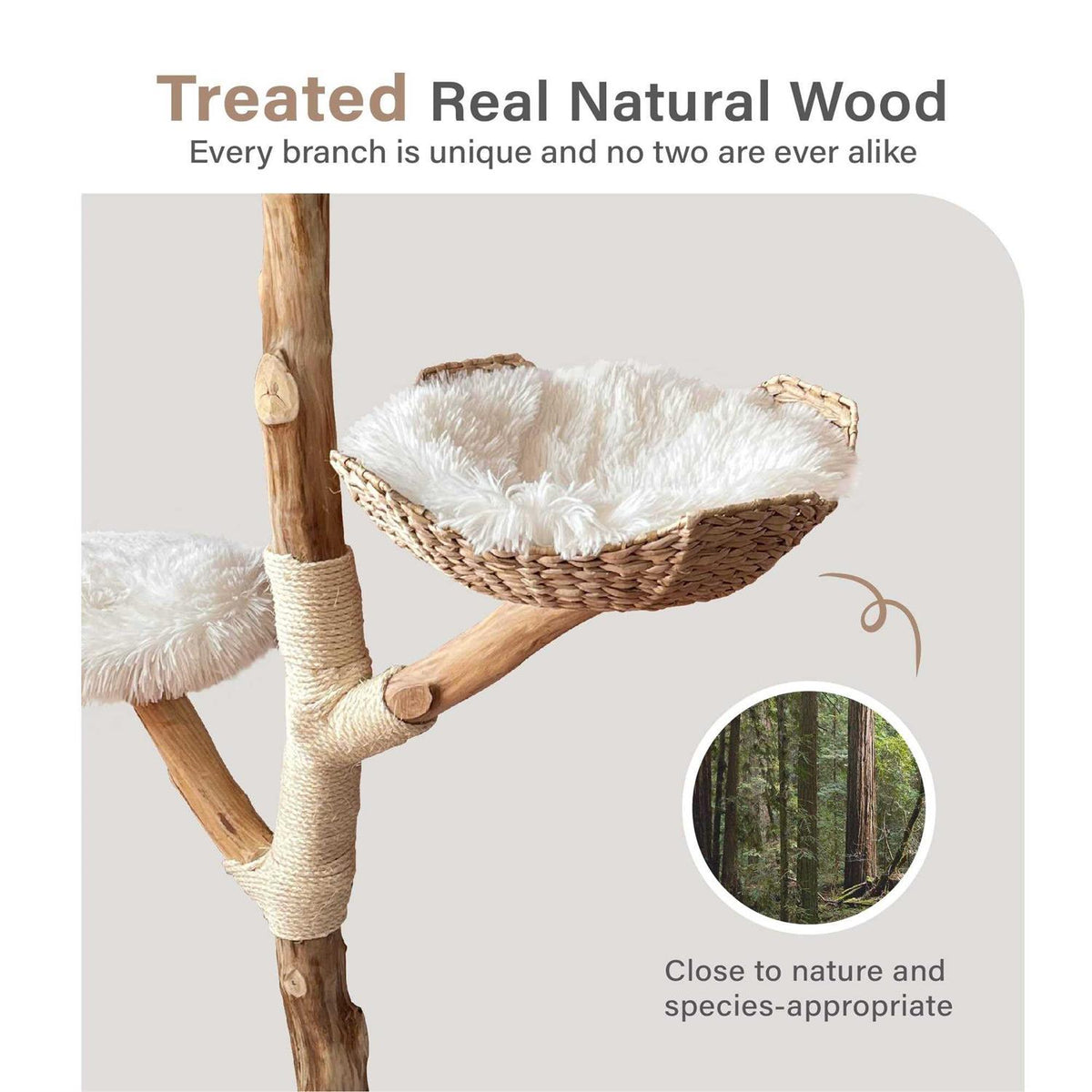 Modern Wooden Cat Tree Tower J4062