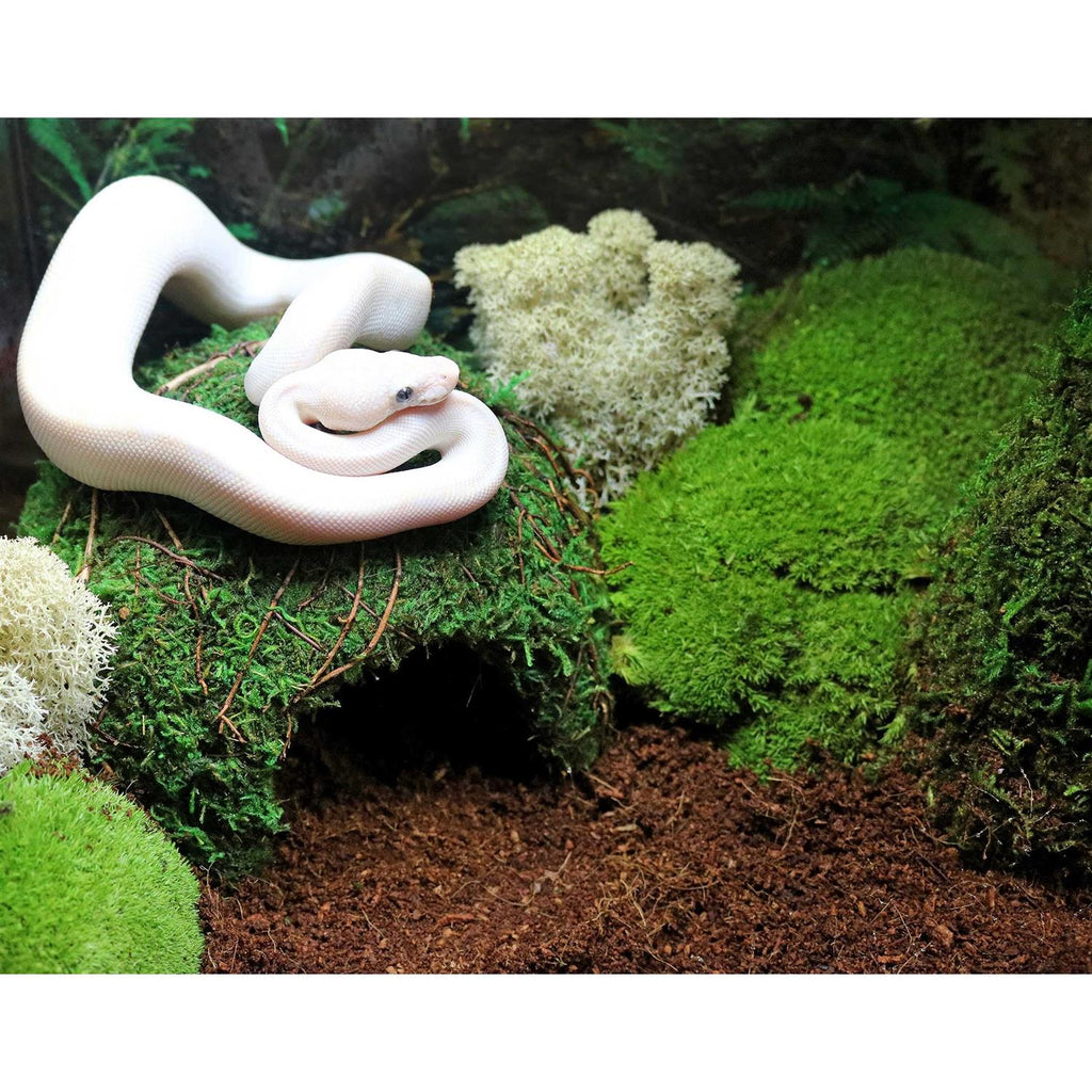 Green Mossy Dome N846
