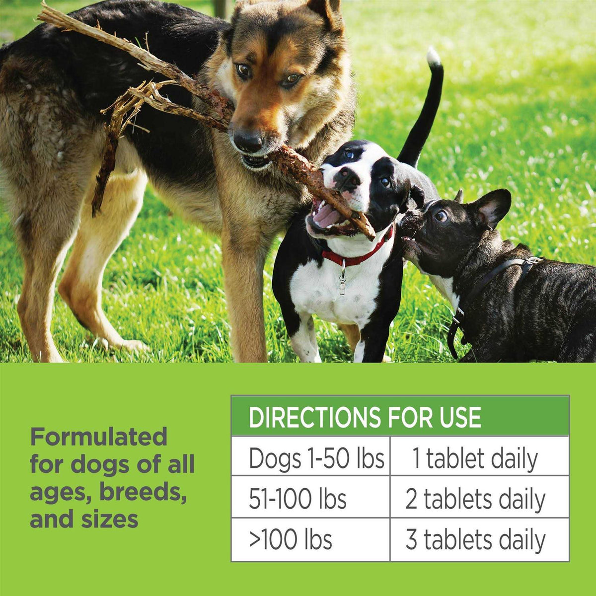 Oral Flea & Tick Chews for Dogs V77040