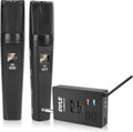 Portable Dual Wireless Microphone System with 2 Handheld Transmitter and 1 Receiver G6308