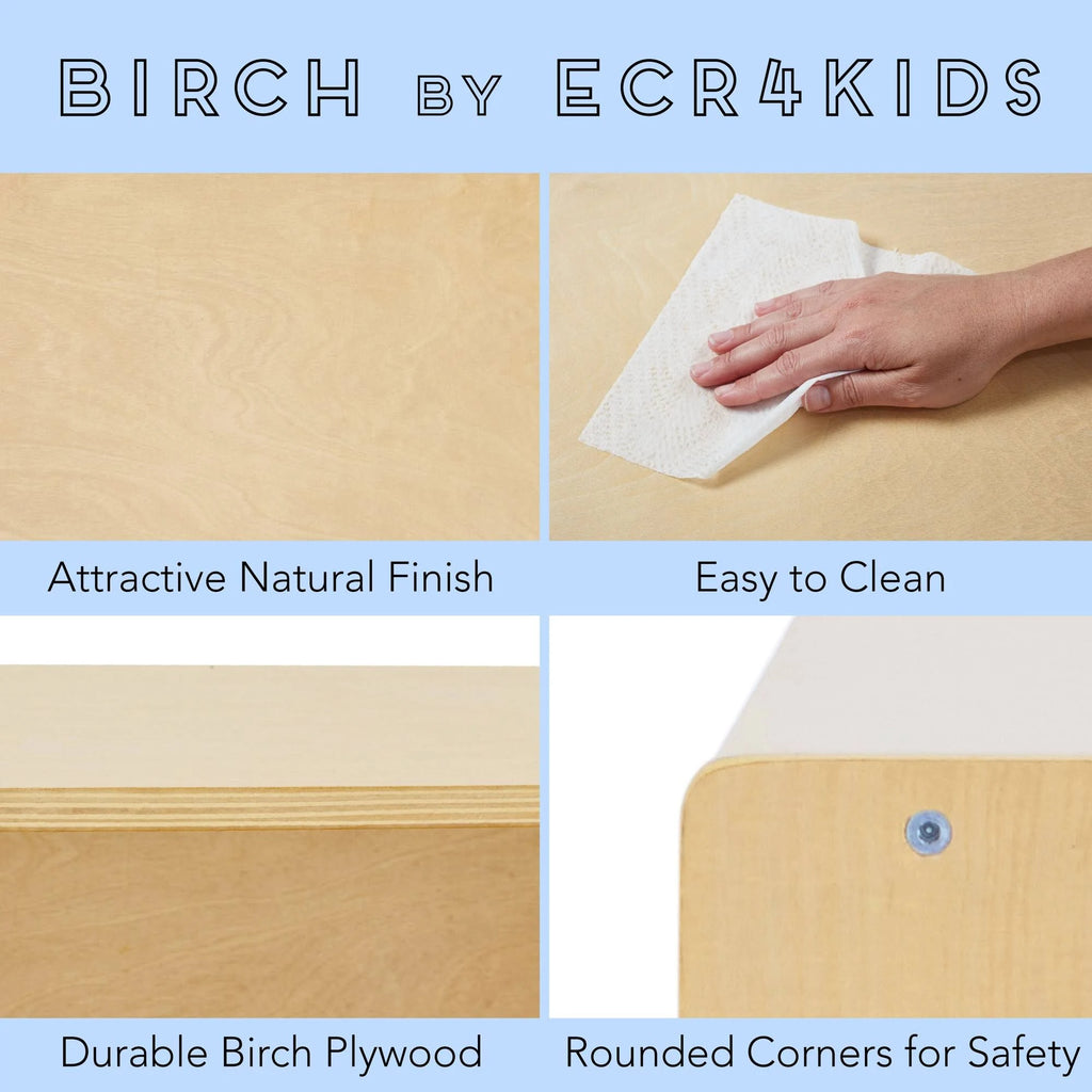 Birch Bookcase X17938