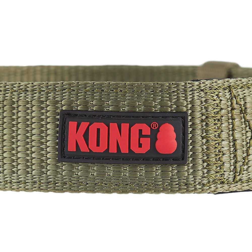 Dog Collar Z978346