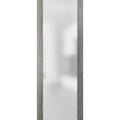 Frosted Glass Slab Barn Door Panel L3911