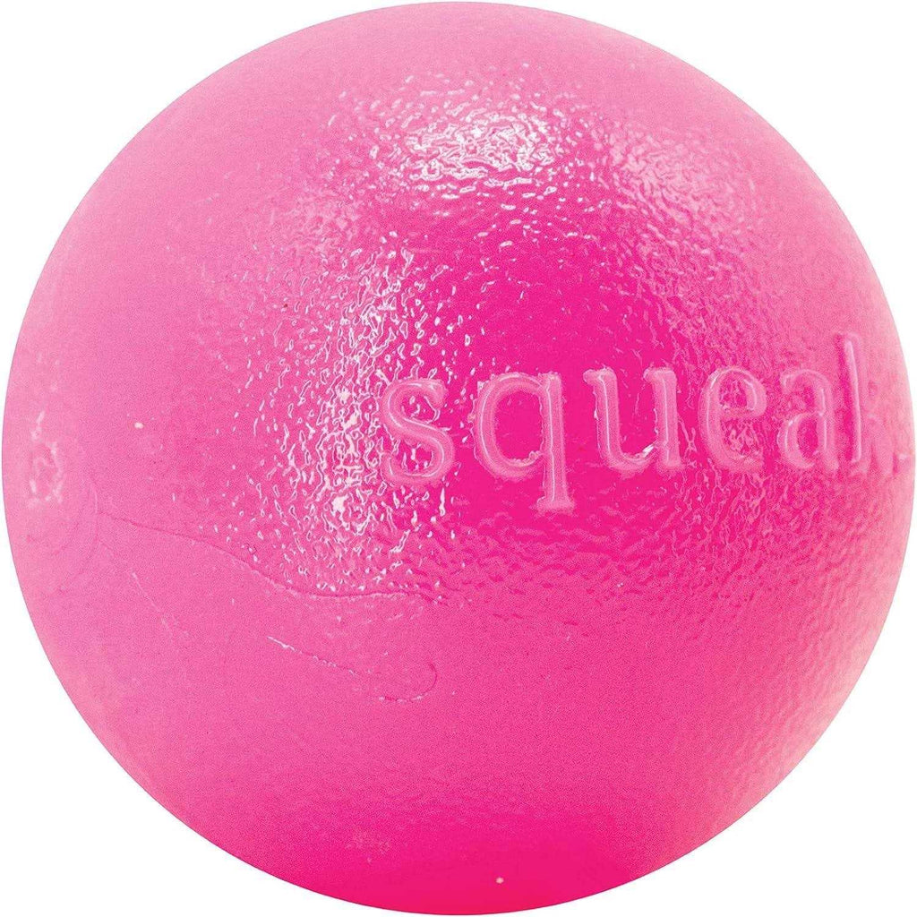 Squeak Toy Ball L6725