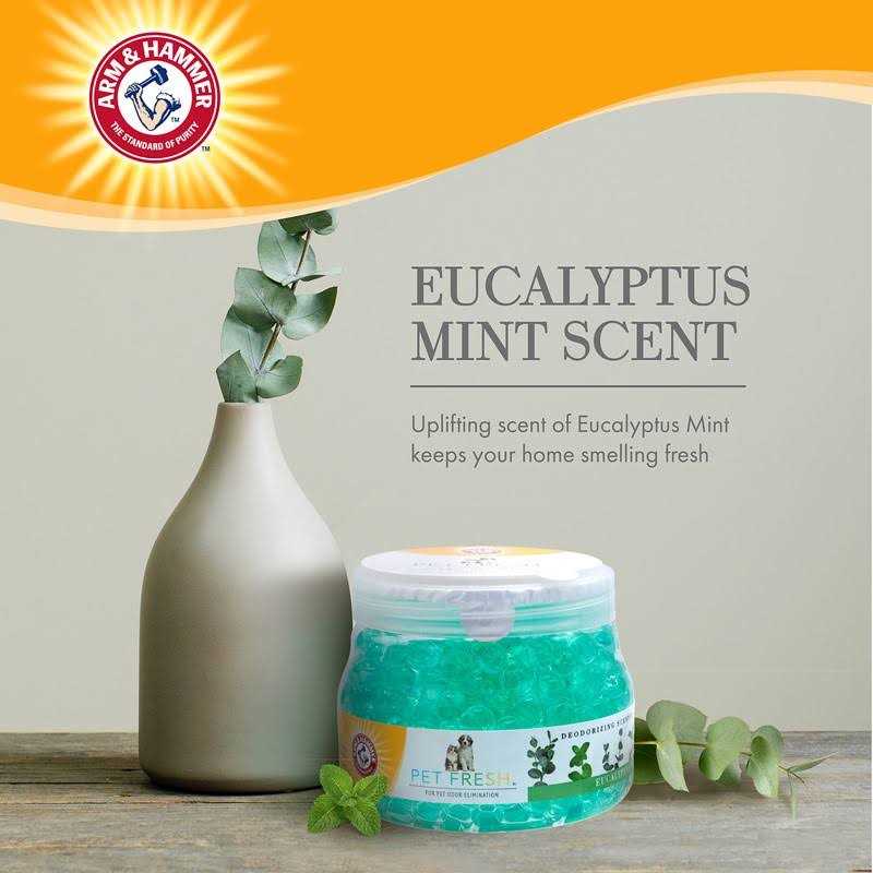 Eucalyptus Mint Deodorizing Gel Pearls H21773
