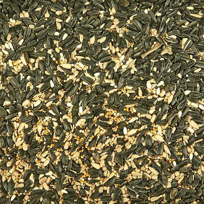 Wild Bird Food Z38182