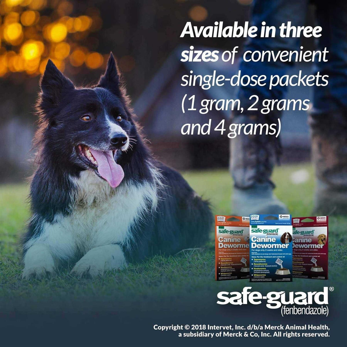 Canine Dewormer B1526