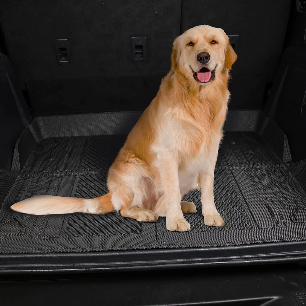 Cargo Liner Cargo Mat Pack of 2 K1716